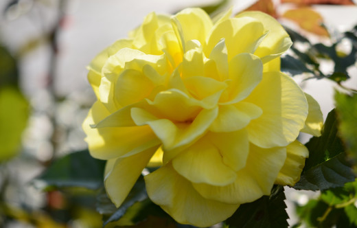 799751 (a): :2500x1596